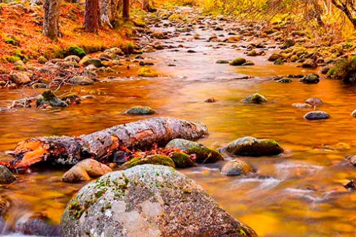 Sierra Cebollera Natural Park, La Rioja