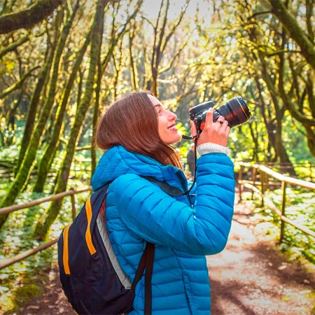 Garajonay National Park, La Gomera