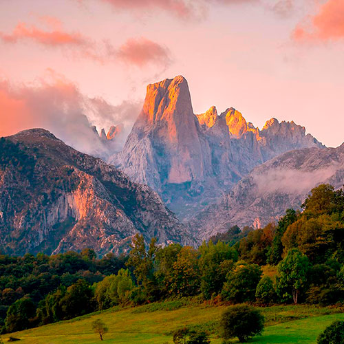 Orangenbaum in Bulmes. Nationalpark Picos de Europa, Asturien Orangenbaum in Bulmes. Nationalpark Picos de Europa, Asturien