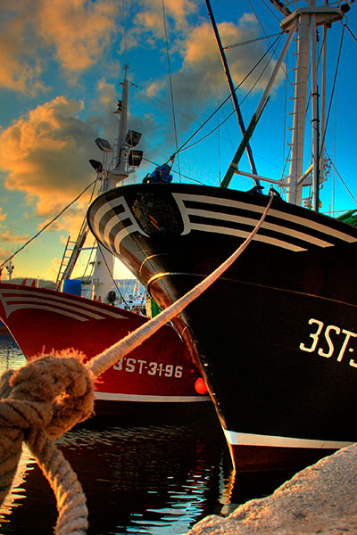 Fishing boats in Santoña Fishing boats in Santoña