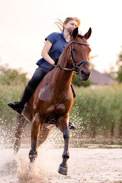 Mulher montando a cavalo Mulher montando a cavalo
