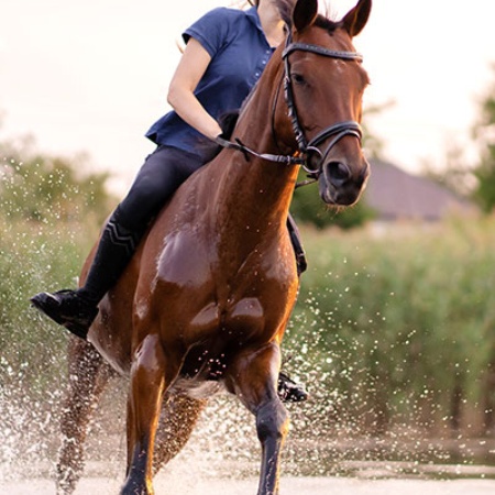 Mujer montando a caballo