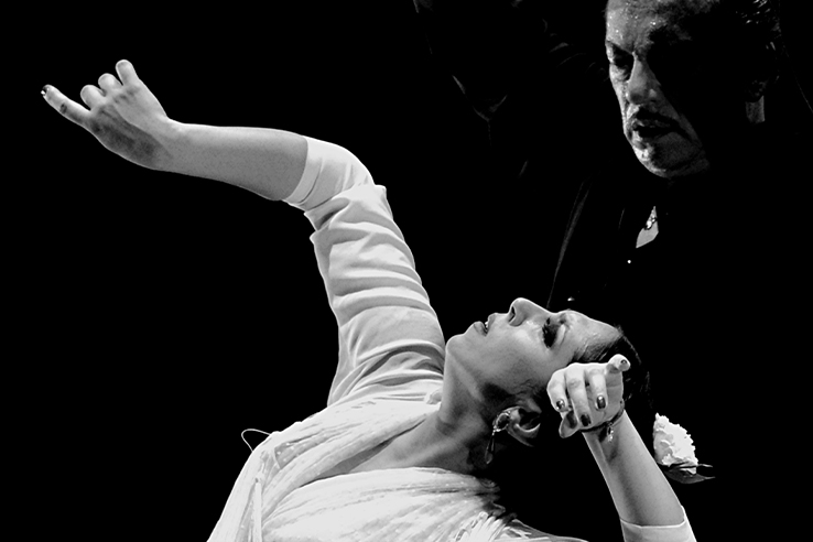 Ла-Монета и Латорре. Фестиваль в Хересе Ла-Монета и Латорре. Фестиваль в Хересе