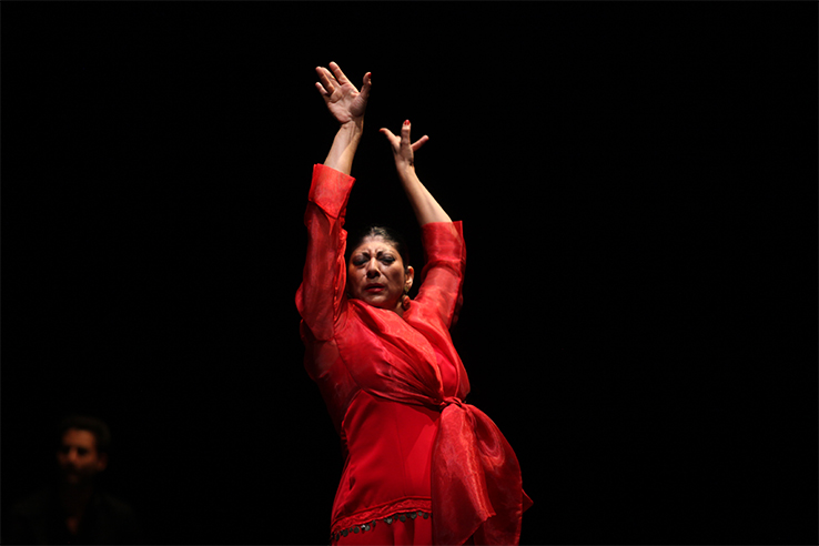 Мануэла Карраско. Фестиваль в Хересе Мануэла Карраско. Фестиваль в Хересе