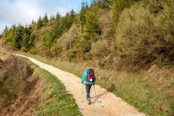  Pilgerin im Wald auf dem Jakobsweg