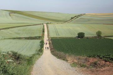  Paysage du Chemin de Saint-Jacques