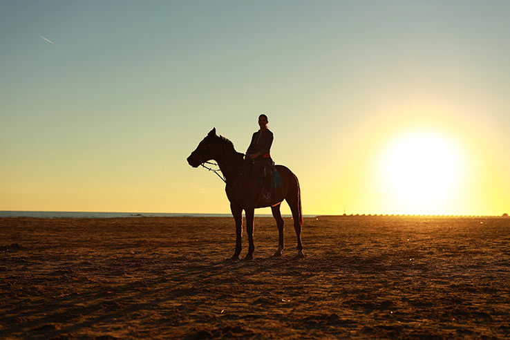 Turismo equestre Turismo equestre