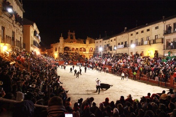 Stierkampf mit Jungtieren beim Karneval in Toro, Ciudad Rodrigo (Salamanca, Kastilien-León)
