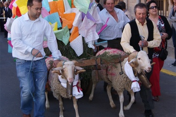 タラベラ・デ・ラ・レイナ（カスティージャ・ラ・マンチャ州トレド県）でのモンダス祭りで教区内の隣人の捧げものを運ぶ、子羊2頭が引く荷車