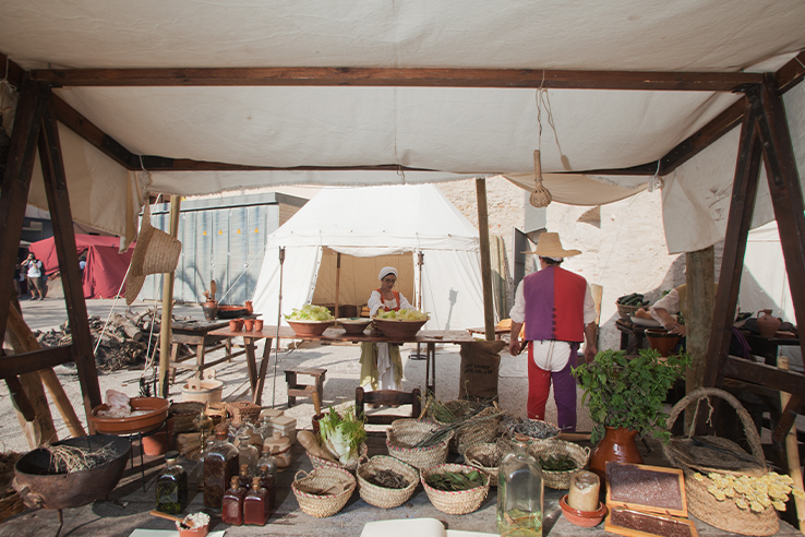 Puestos de verduras en Tortosa (Tarragona, Cataluña) durante la Festa del Renaixement Puestos de verduras en Tortosa (Tarragona, Cataluña) durante la Festa del Renaixement
