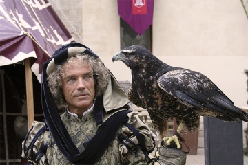  Falconry show in Tortosa (Tarragona, Catalonia) during the Renaissance Festival