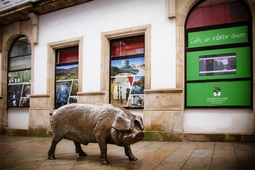 Denkmal zu Ehren des Schweins in Lalín (Pontevedra, Galicien)