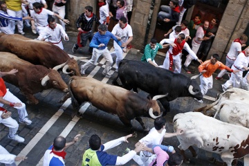 Encierros de las fiestas de San Fermín de Pamplona (Navarra)