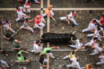 Gonitwa byków podczas Święta San Fermín w Pampelunie (Nawarra)