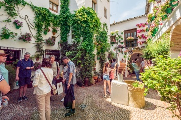 Courtyards in Cordoba