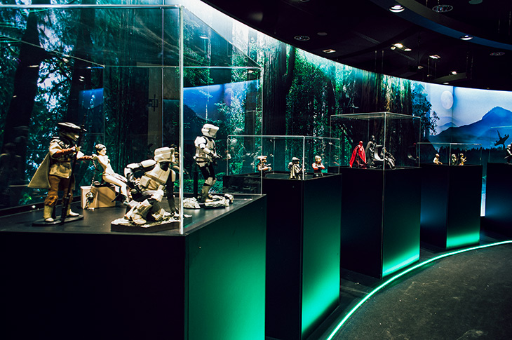 View of various display cases with pieces from the collection. View of various display cases with pieces from the collection.