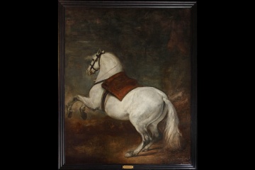 Biały koń. Diego de Rodríguez de Silva y Velázquez. 1634-1639. Olej na płótnie, 325 x 263 cm