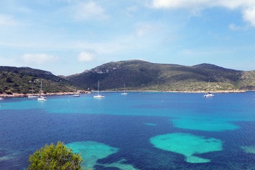 Cala con veleros