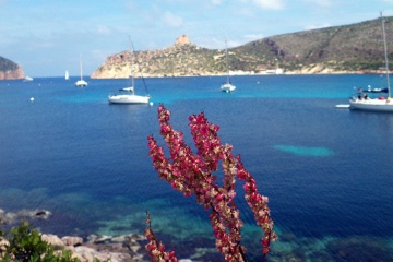 Cala de Ses Güies