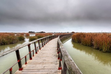 Walkways over the lake of Tablas de Daimiel