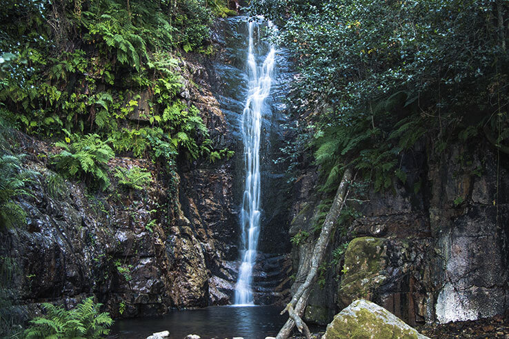 Cascade Cascade