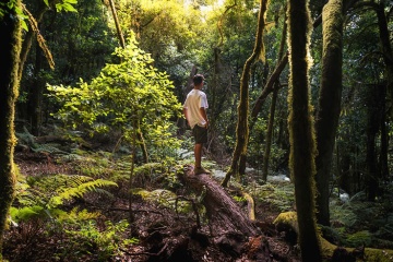 Tourist betrachtet den Wald