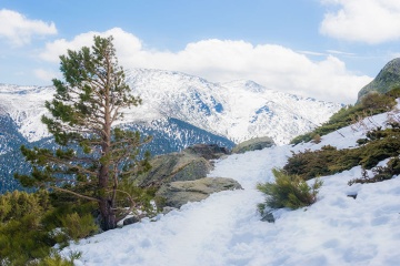 Snowtopped mountains