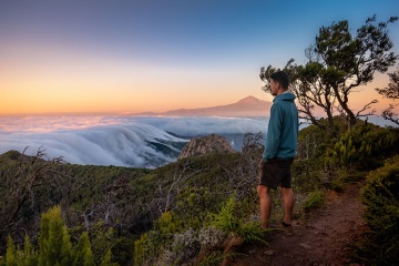 Der vom Wolkenmeer umringte Park mit dem Teide im Hintergrund