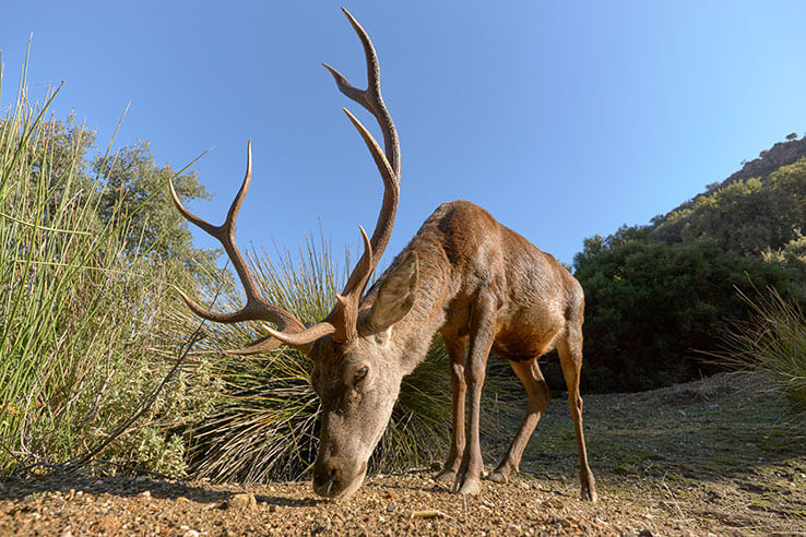 Sierra de las Nieves National Park | spain.info