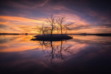 日没時に池の真ん中にポツンと立つ木