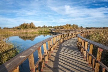 Pomosty nad laguną