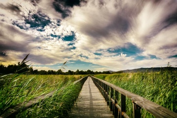 Tablas de Daimiel National Park