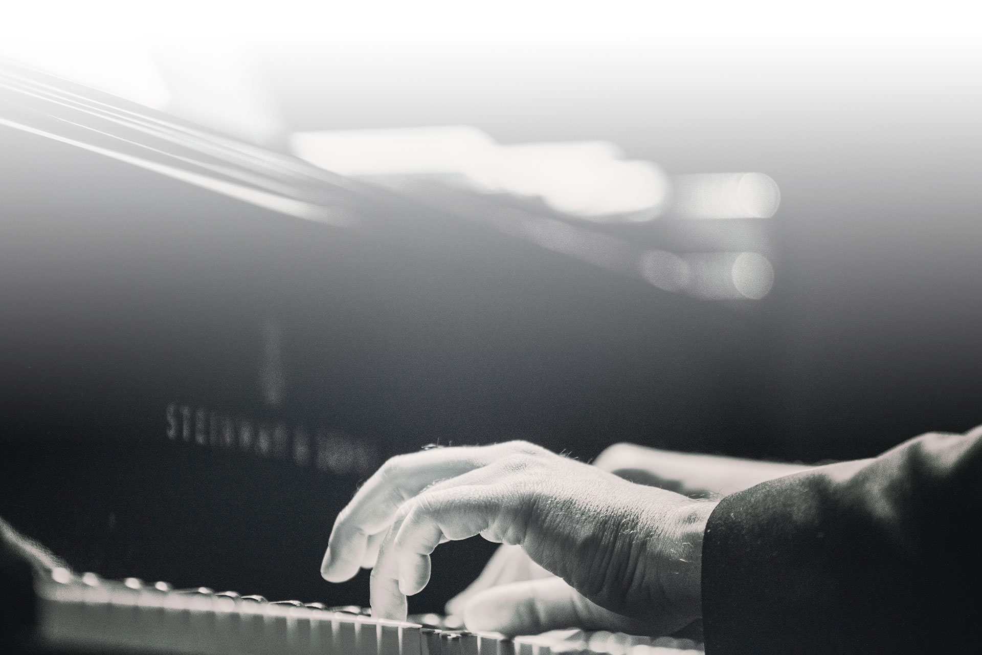 Fondo Festival Jazz Fondo Festival Jazz