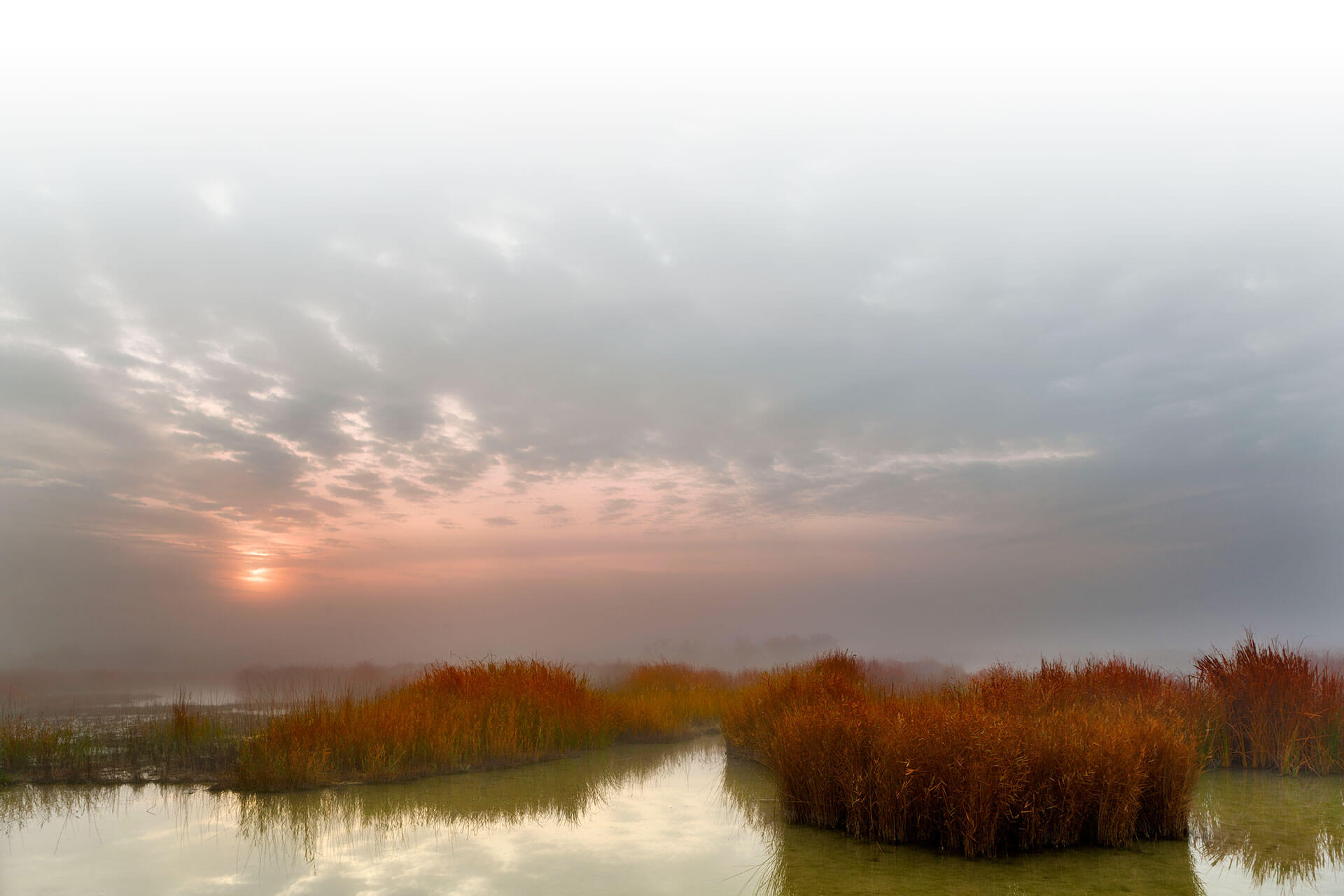 Lagoon in the Tablas de Daimiel National Park Lagoon in the Tablas de Daimiel National Park