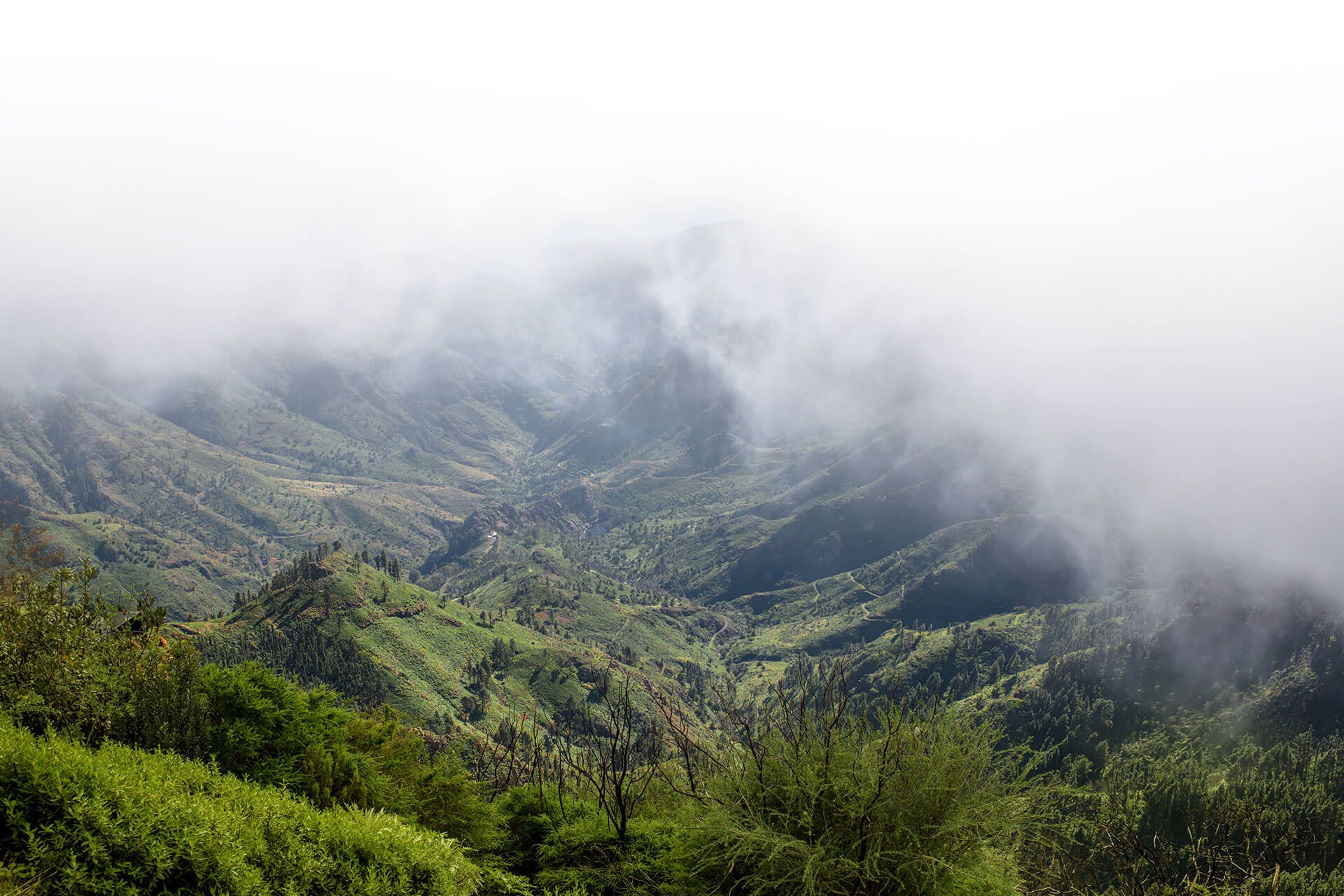 Garajonay National Park, La Gomera Garajonay National Park, La Gomera