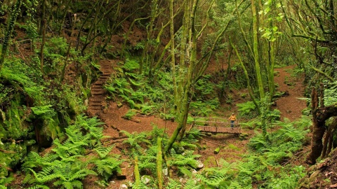  La Caldera del Agua, La Zarza na wyspie La Palma