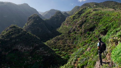  Parque natural de Las Nieves en la isla de La Palma