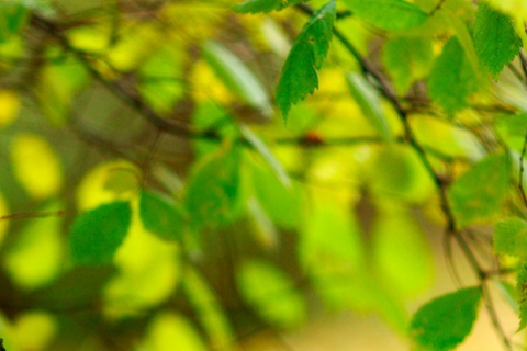 AtractivoTuristicoNatural