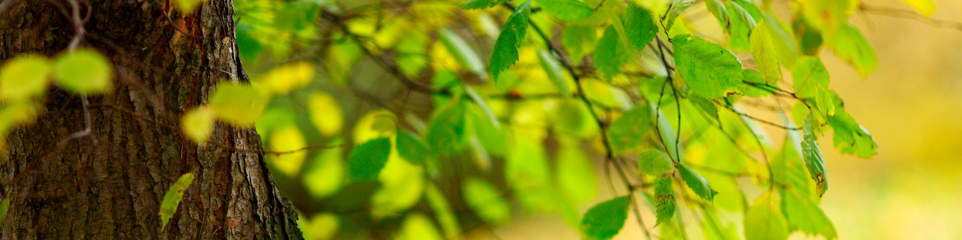 AtractivoTuristicoNatural AtractivoTuristicoNatural