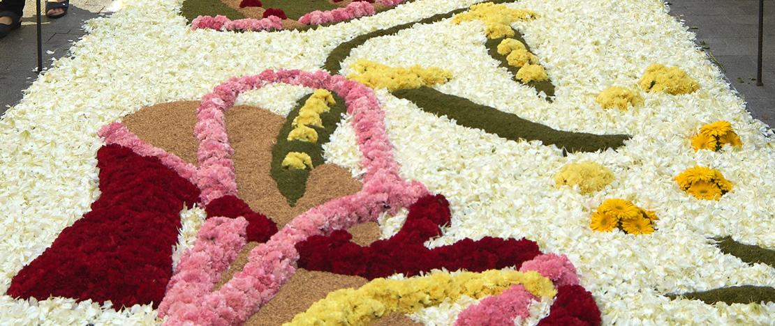 Деталь цветочного ковра в Ситжесе, Барселона