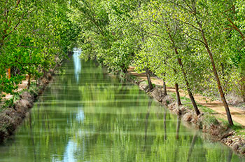 The Canal de Castilla on its course through Medina de Rioseco, Valladolid