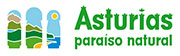 where to visit in asturias