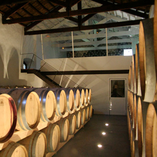 Barriques nell’Hotel Bodega El Juncal, Ronda