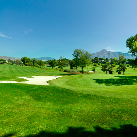 Détail de l’Aloha Golf Club de Marbella dans la province de Malaga, Andalousie