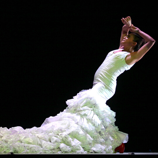 Биеннале фламенко в 2014 году — Национальный балет Андалусии