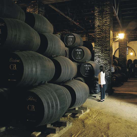 Piwnica winiarska w Montilla