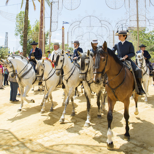 Fiera del cavallo di Jerez de la Frontera