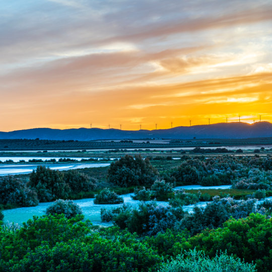Puesta de sol en la Laguna de Fuente de Piedra en Málaga, Andalucía Puesta de sol en la Laguna de Fuente de Piedra en Málaga, Andalucía
