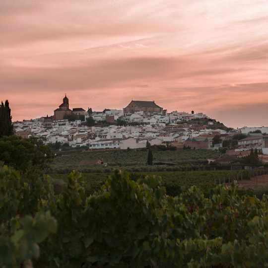 Panoramic view of Montilla, in Cordoba