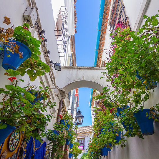 Patios de Córdoba